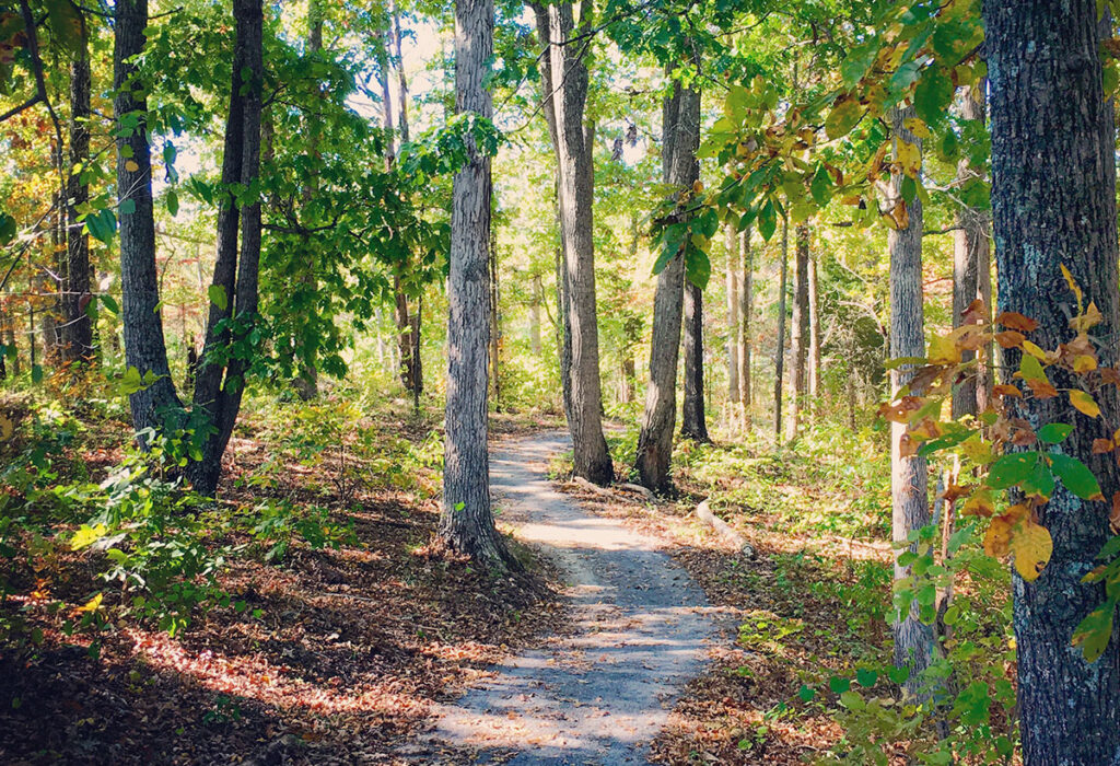 Land Between the Lakes hiking trail